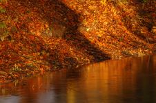 Autumn Stock Photography Autumn Stock Photography