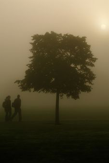 Misty Morning Royalty Free Stock Photos Misty Morning Royalty Free Stock Photos