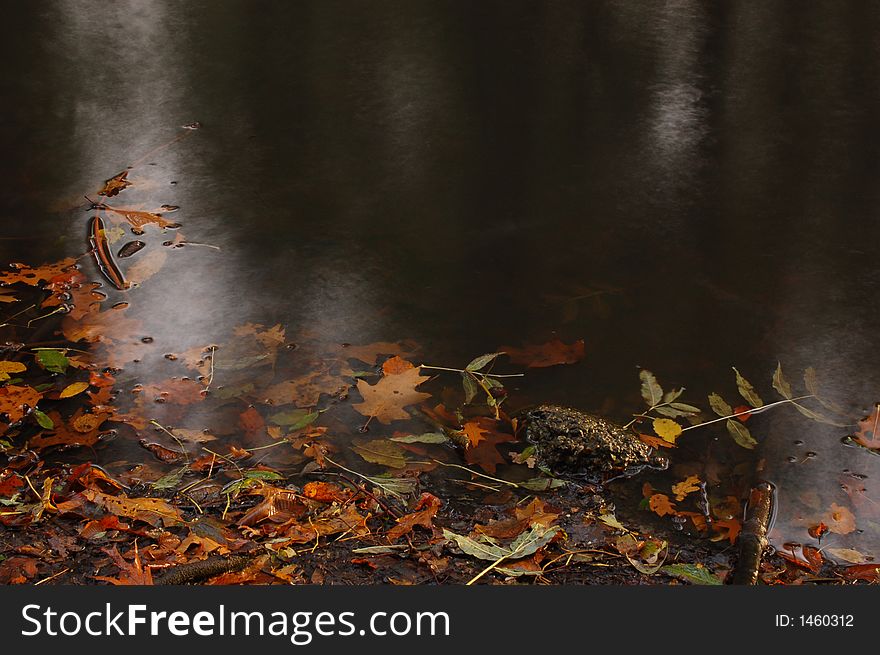 Colorfull leaves on a silky smooth water surface