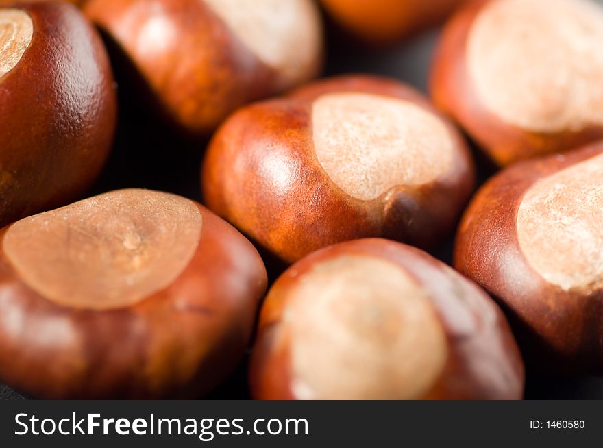 Close up of conkers and chestnuts