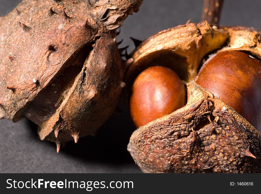 Close up of conkers and chestnuts