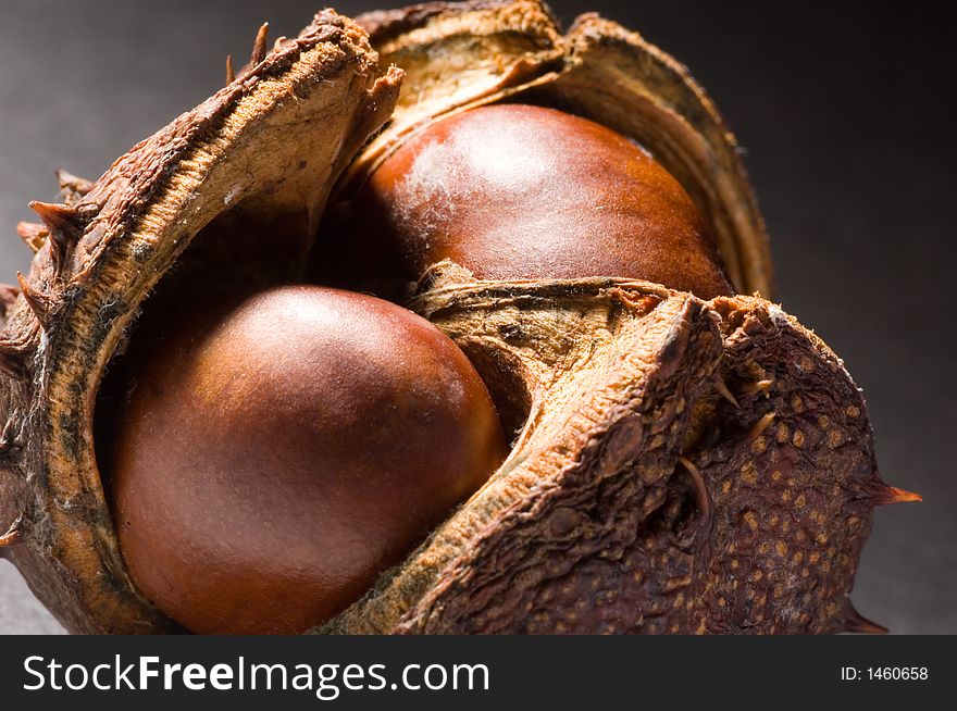 Close up of conkers and chestnuts