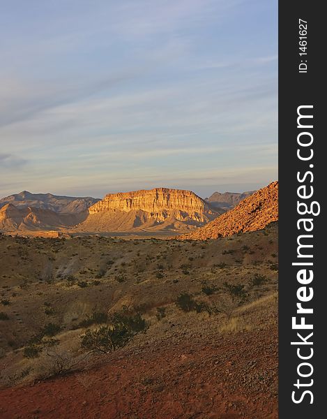 Desert landscape