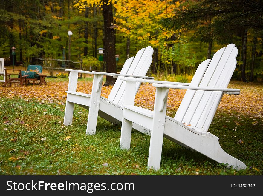 Chairs In Backyard