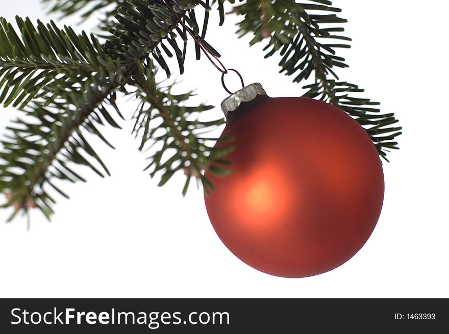Red christmas ball on a branch close up