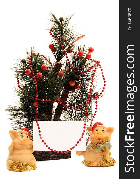 Fir Tree And Pigs With Card