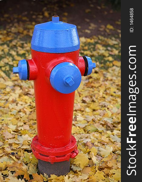 A brightly coloured fire hydrant against yellow autumn leaves. A brightly coloured fire hydrant against yellow autumn leaves.