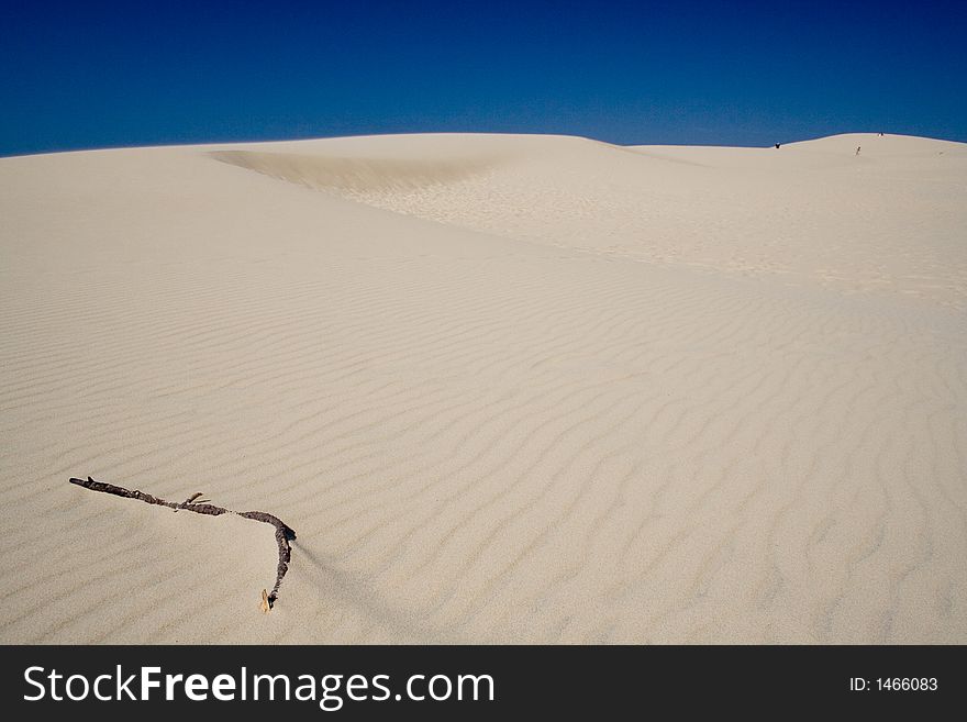 Looks like desert. Really it's dune in France, one of the biggest in Europe.