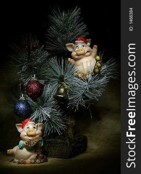 Super postcard with pigs and fir tree. Super postcard with pigs and fir tree