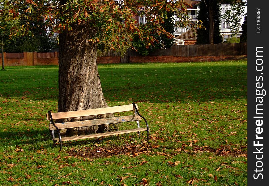 Empty Bench In A Park