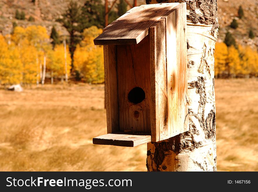 Closeup of Birdhouse in yosemite campgrounds