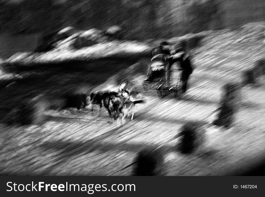 Sled-dog race in Hungary, 2006. winter