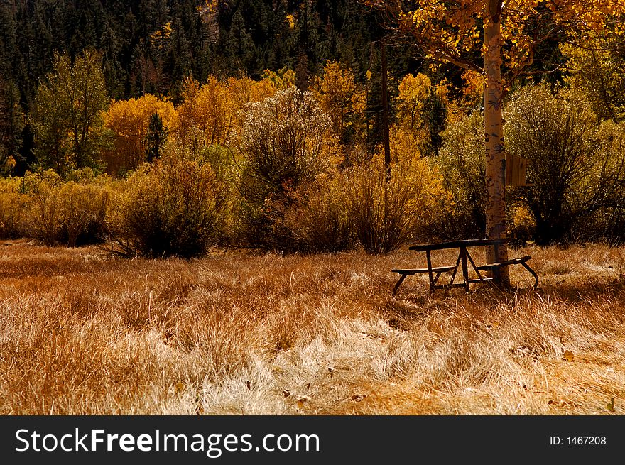 Beautiful campsite in the lee vining area of Yosemite