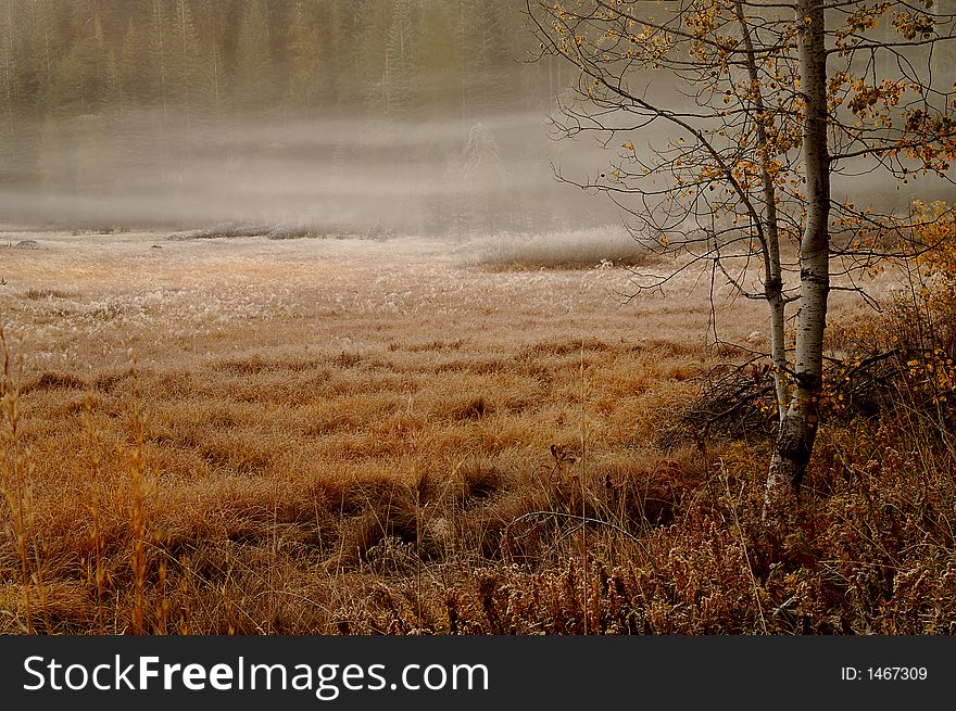 Morning Fog In Yosemite Valley. Morning Fog In Yosemite Valley