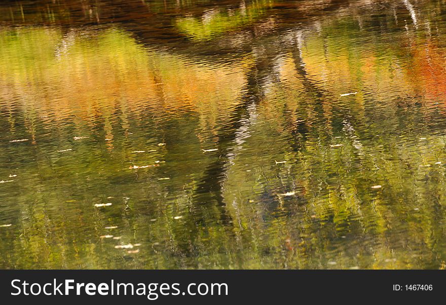 Reflections Of Leaves On the merced River. Reflections Of Leaves On the merced River