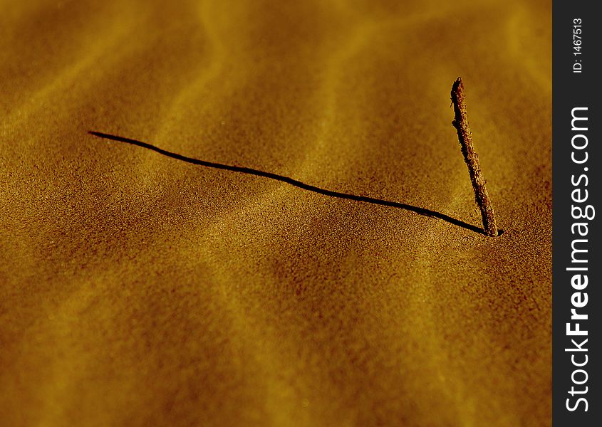 Lonely stick in the sand dunes. Lonely stick in the sand dunes