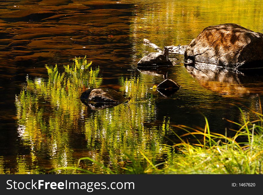 Reflections of grass in Merced River. Reflections of grass in Merced River