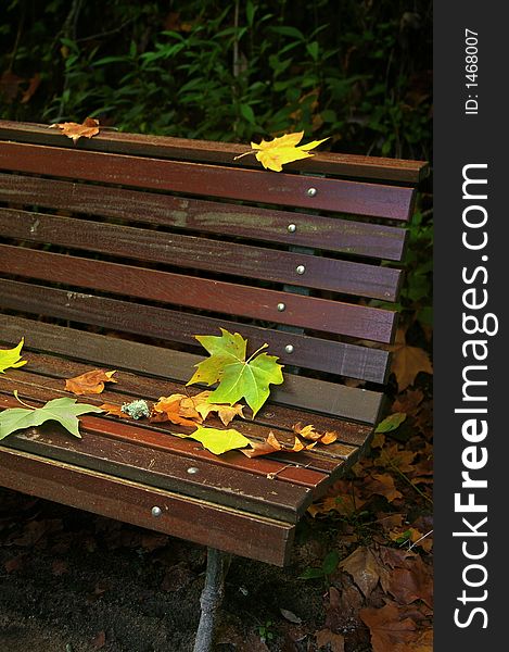 Detail of fall Leafs on a brown wooden bench. Detail of fall Leafs on a brown wooden bench.