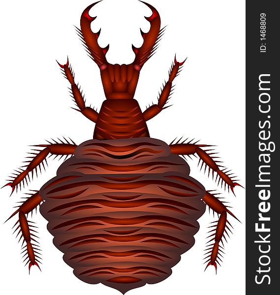 Color drawing of myrmeleon larva. Color drawing of myrmeleon larva