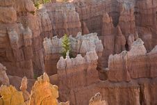 Bryce Canyon Hoodoos In The First Rays Of Sun Royalty Free Stock Photography Bryce Canyon Hoodoos In The First Rays Of Sun Royalty Free Stock Photography
