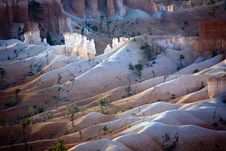 Bryce Canyon Hoodoos In The First Rays Of Sun Stock Photography Bryce Canyon Hoodoos In The First Rays Of Sun Stock Photography
