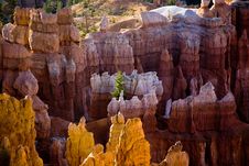 Bryce Canyon Hoodoos In The First Rays Of Sun Stock Image