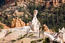 Sandstone Pillar (hoodoo) In Bryce Canyon Royalty Free Stock Photos Sandstone Pillar (hoodoo) In Bryce Canyon Royalty Free Stock Photos