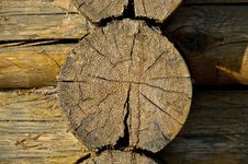 Sawn End Of Dry Log Stock Images Sawn End Of Dry Log Stock Images