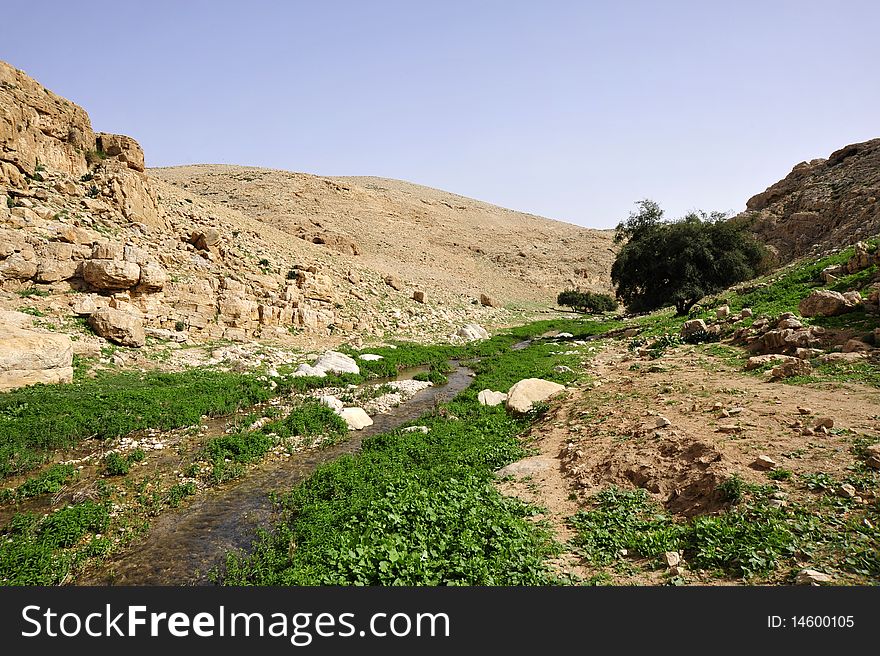 Flowing stream and greenery in Judea Desert - Wadi Qelt at spring, Israel. Flowing stream and greenery in Judea Desert - Wadi Qelt at spring, Israel.