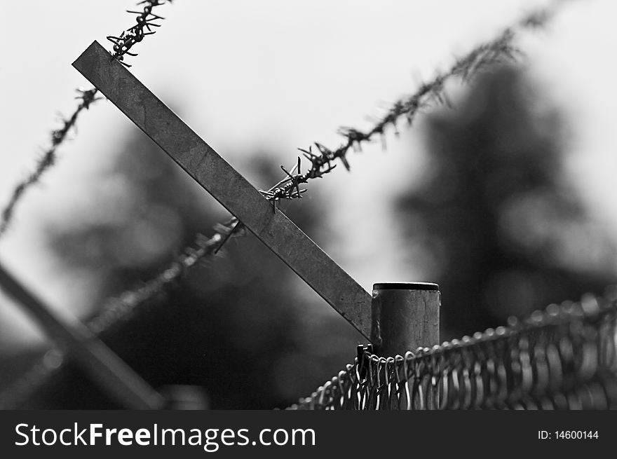 Barbed Wire