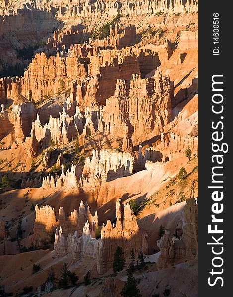 Bryce Canyon with Stone formation