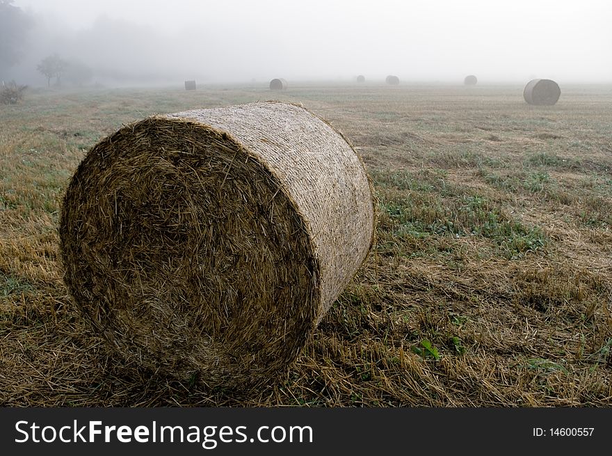 Agriculture in autumn. Taken in southern Bohemia. Agriculture in autumn. Taken in southern Bohemia.