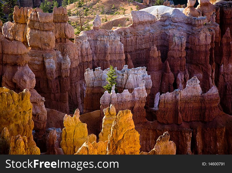 Bryce Canyon hoodoos in the first rays of sun, Utah