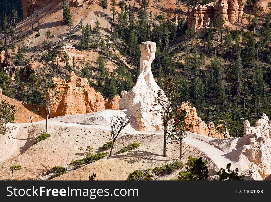 Beautiful landscape in Bryce Canyon with magnificent Stone formation, sandstone pillar like a human statue. Beautiful landscape in Bryce Canyon with magnificent Stone formation, sandstone pillar like a human statue