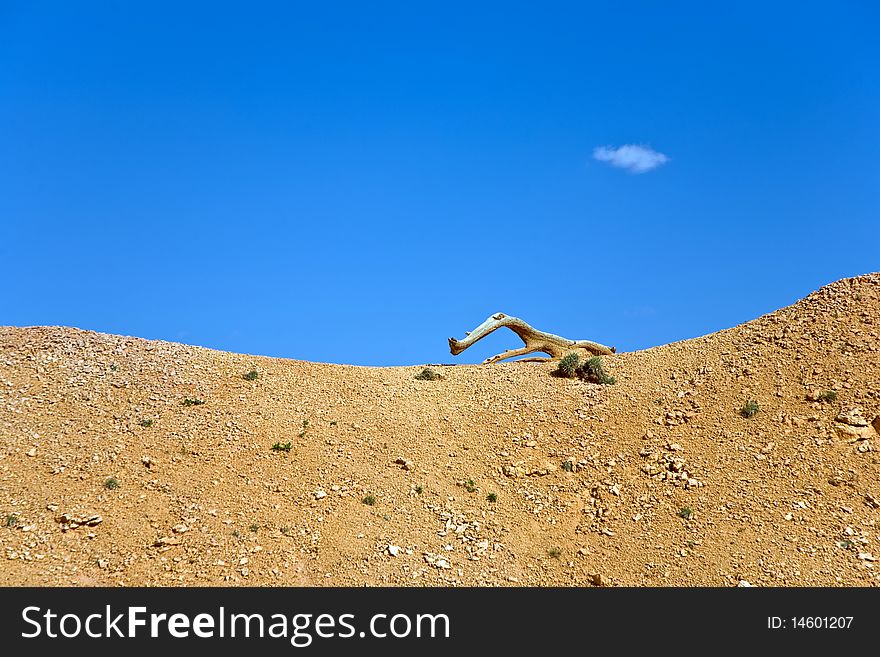 Landscape in Bryce Canyon with magnificent Stone formation and figures created by nature out of wood like animals