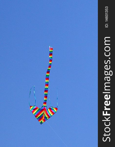 Rainbow kite in the sky