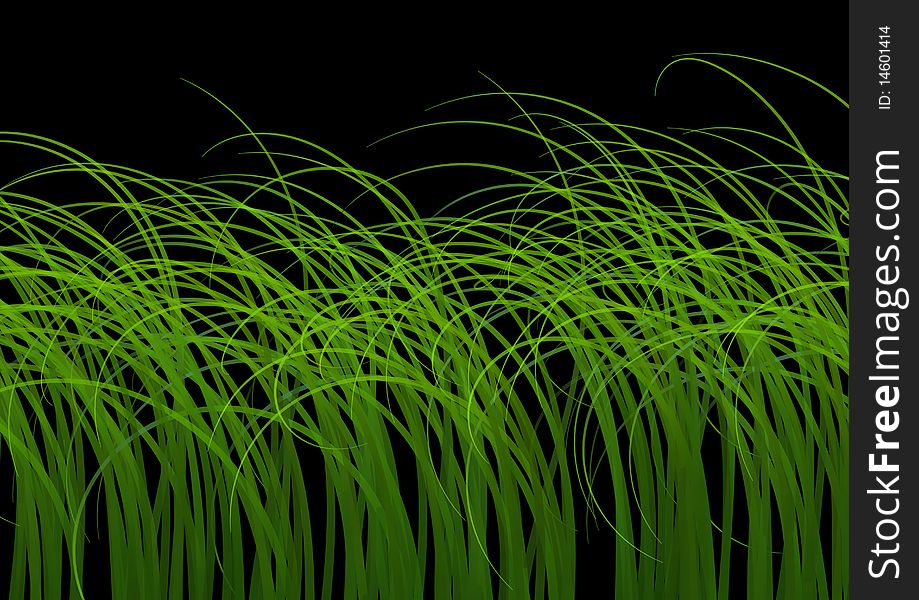 Illustration of isolated green grass