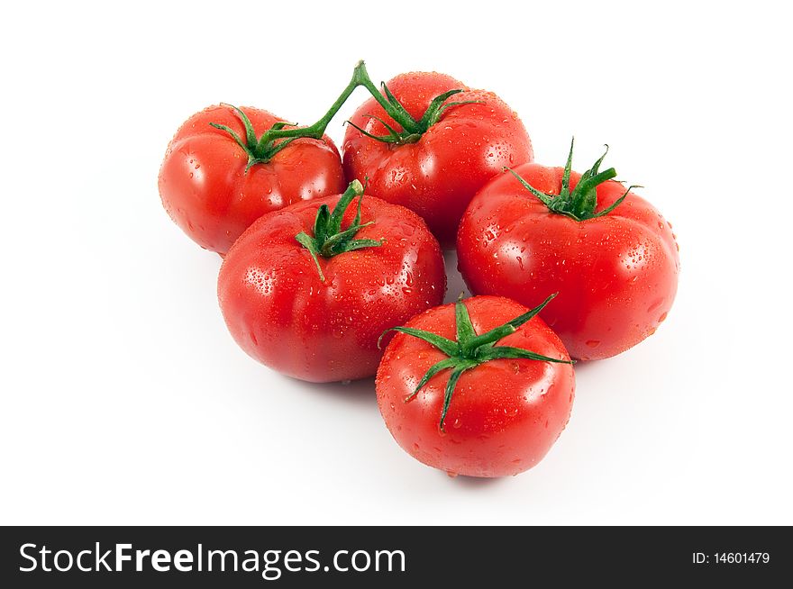 Five tomatoes isolated on white. Five tomatoes isolated on white