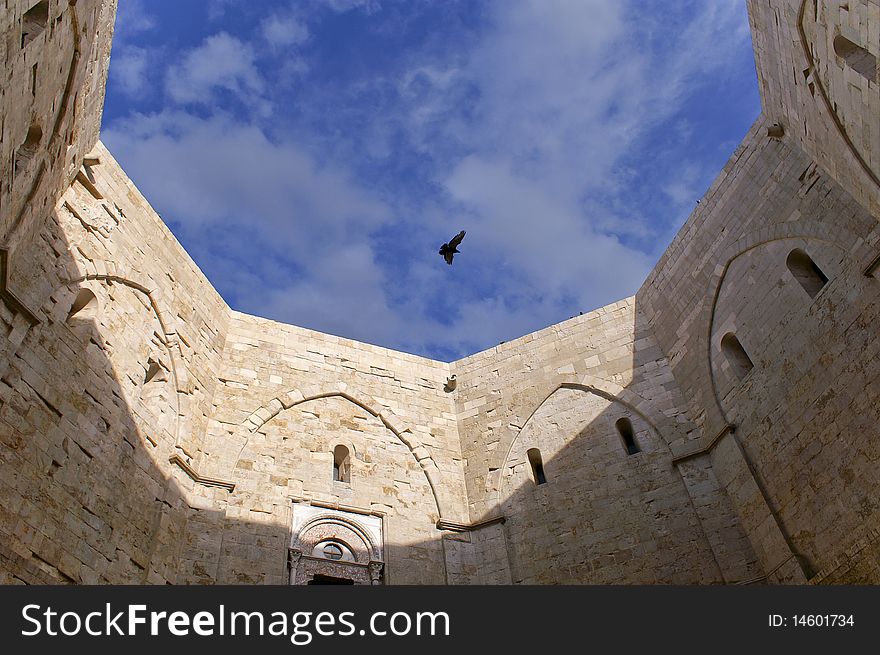 Bird flying over a middleages castle in the south of Italy. Bird flying over a middleages castle in the south of Italy