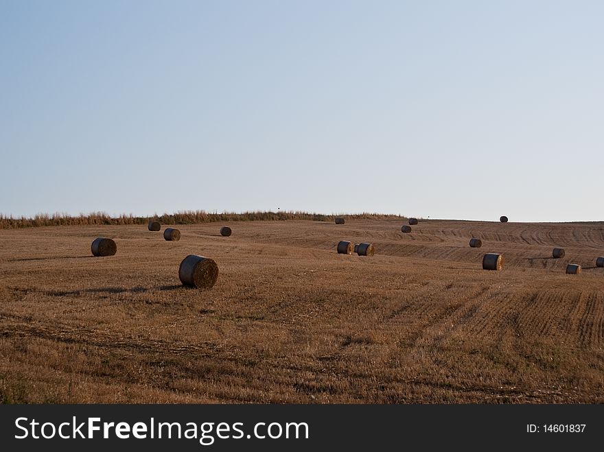 Tuscany Countryside