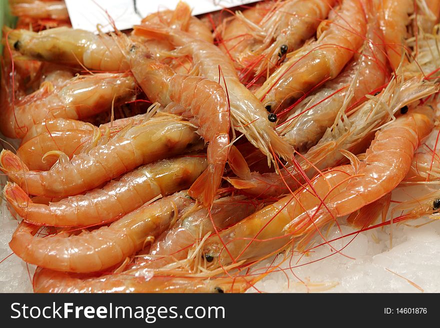 Boiled Prawns For Sale