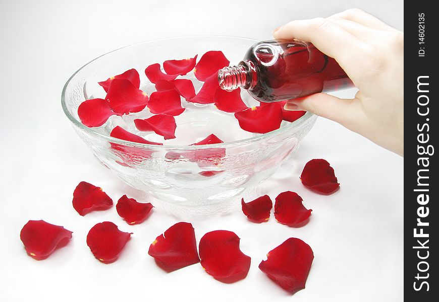 Hand in plate with clean water for spa with rose petals. Hand in plate with clean water for spa with rose petals