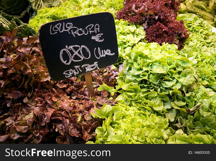 Partial view of a stall lettuce. Partial view of a stall lettuce