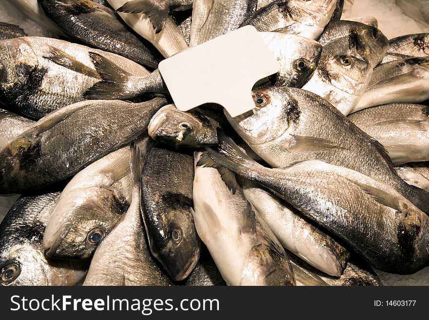 Plenty of fresh fish for sale. Plenty of fresh fish for sale