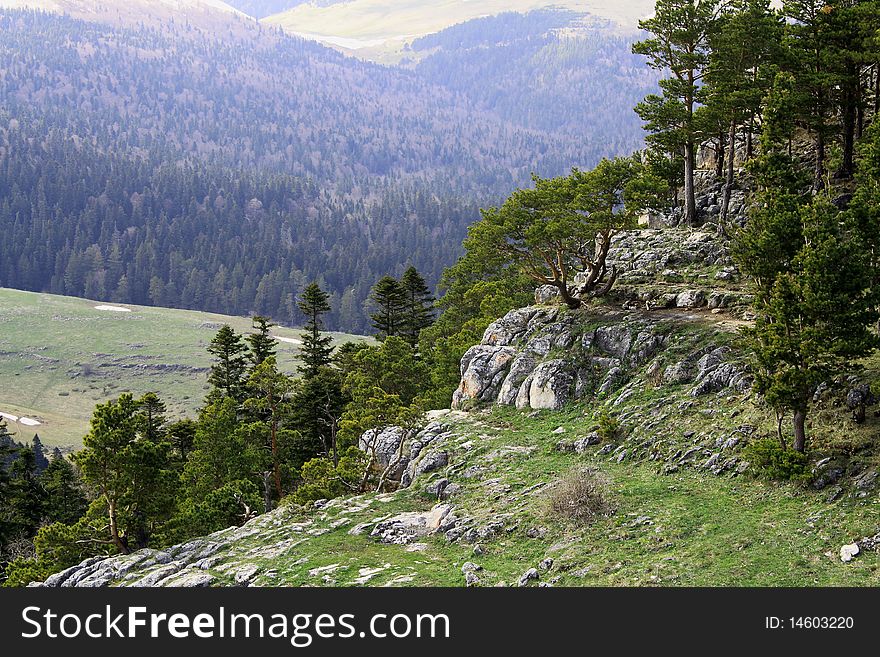 Plateau Lagonaki. Western Caucasus. Russia. Plateau Lagonaki. Western Caucasus. Russia.