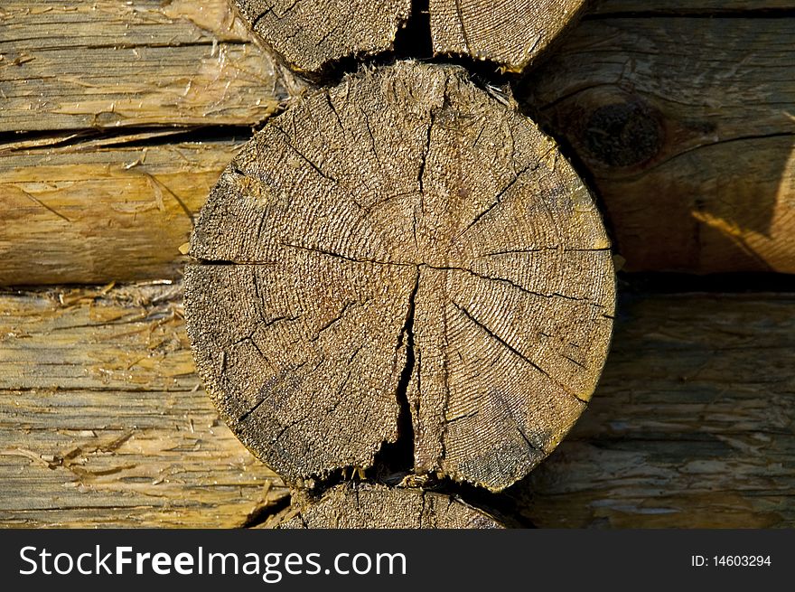 Peeling dry end of log with cracks. Peeling dry end of log with cracks