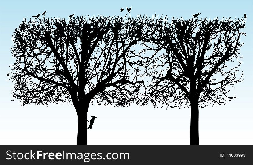 Illustration of a square tree