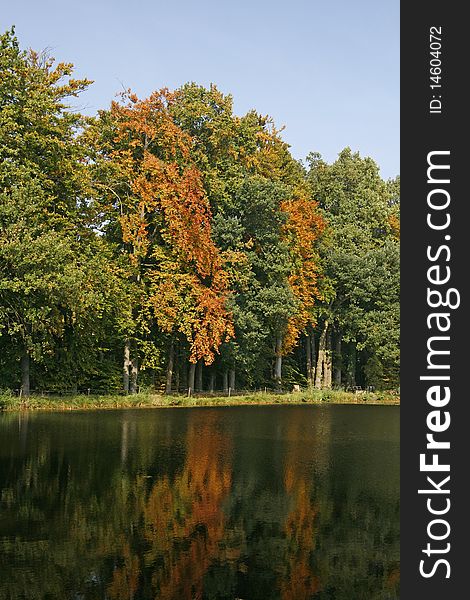 Pond In Autumn, Georgsmarienhuette, Germany