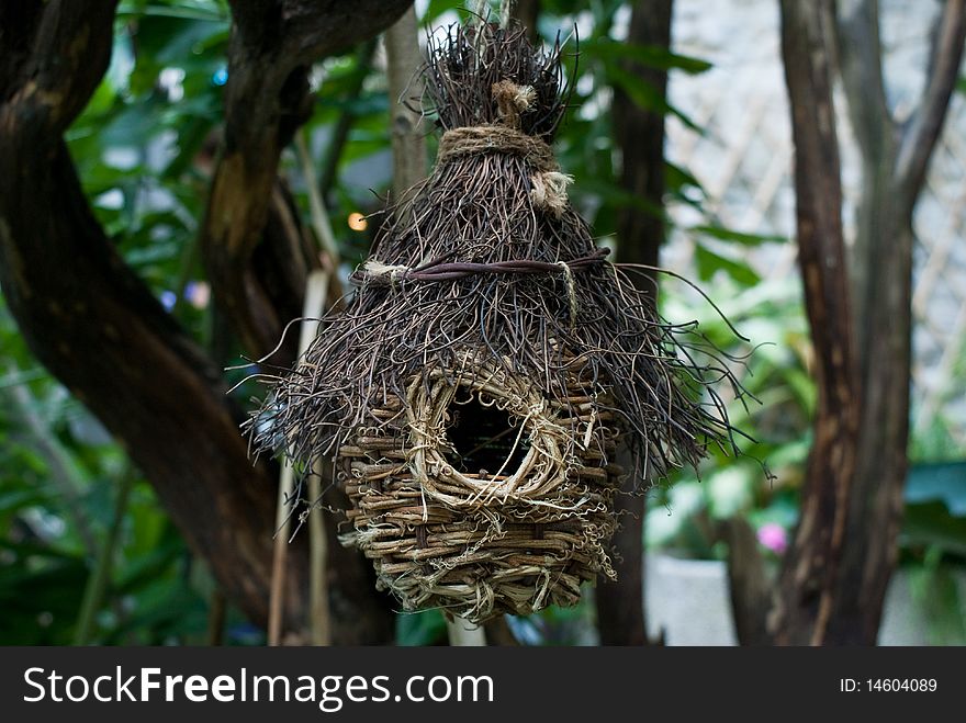 Bird nest in the bushes. Bird nest in the bushes