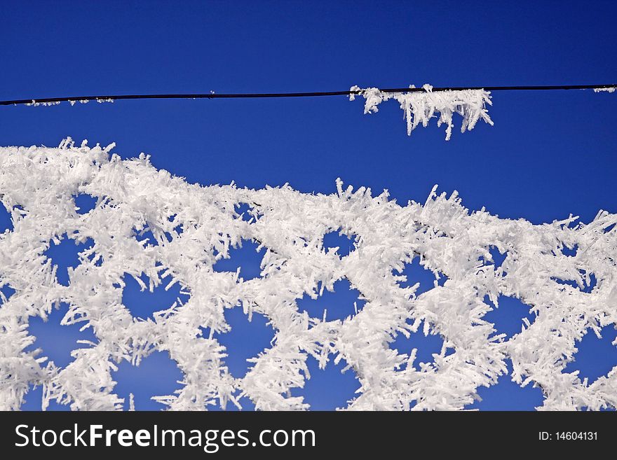 Wire-netting fence with hoarfrost in winter